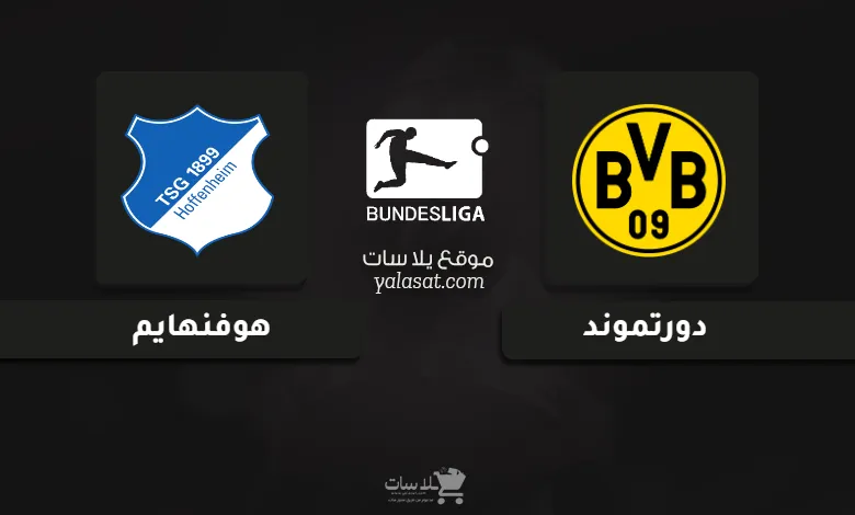قنوات مباراة دورتموند وهوفنهايم الدوري الألماني 2024